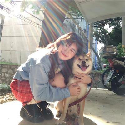 犬夜叉:红莲之蓬莱岛封面